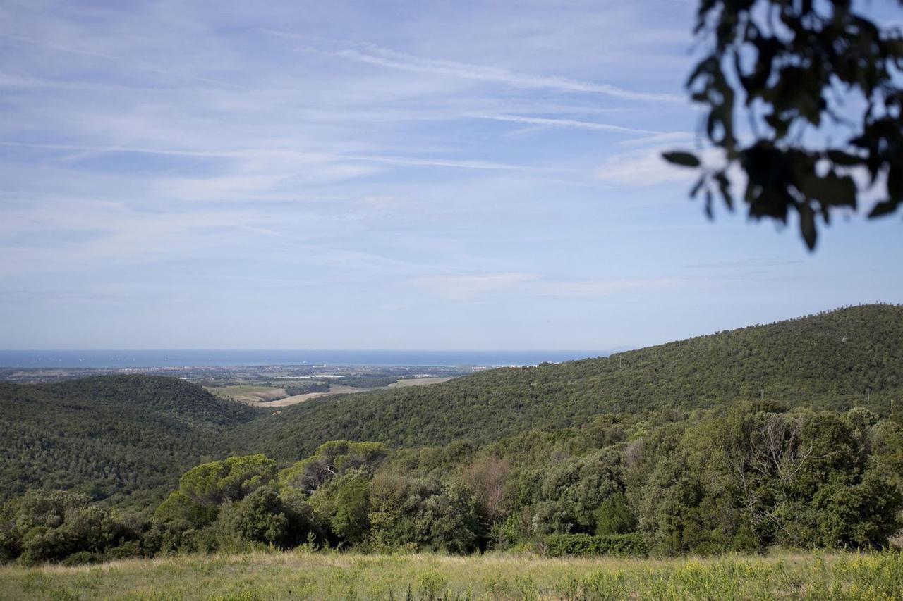 La Lepraia Estate Βίλα Castellina Marittima Εξωτερικό φωτογραφία